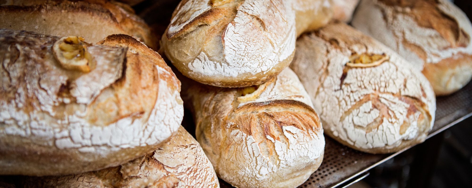 Guerra e... pane: le turbolenti origini del pane sciapo umbro