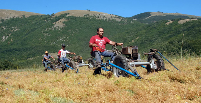 Lavoro nei campi